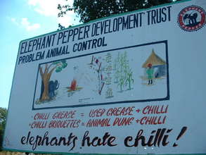 Controlling problem pests with chilli