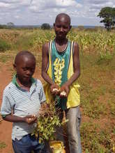 Kids showing off crops protected by chilli