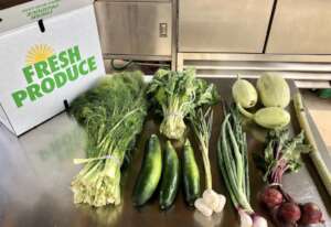Fresh produce grown by refugee farmers in Phoenix