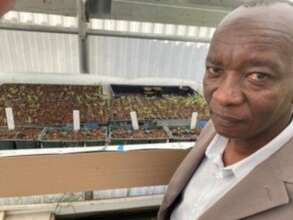 IRC client shows the tomato seedlings he planted