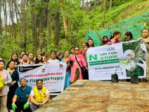 A Successful Tree Plantation Program