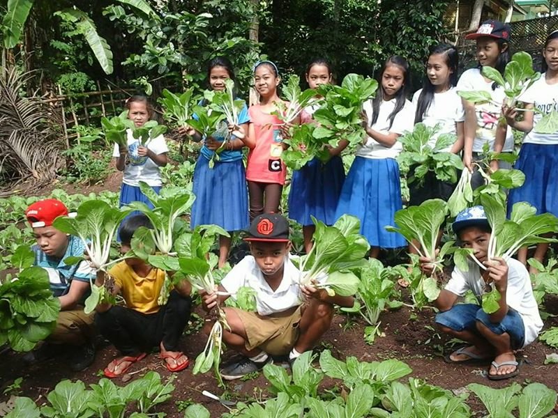 Clean Water, WASH & Nutrition for 300 Muslim Girls