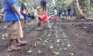 watering school garden At Bunot Elementary