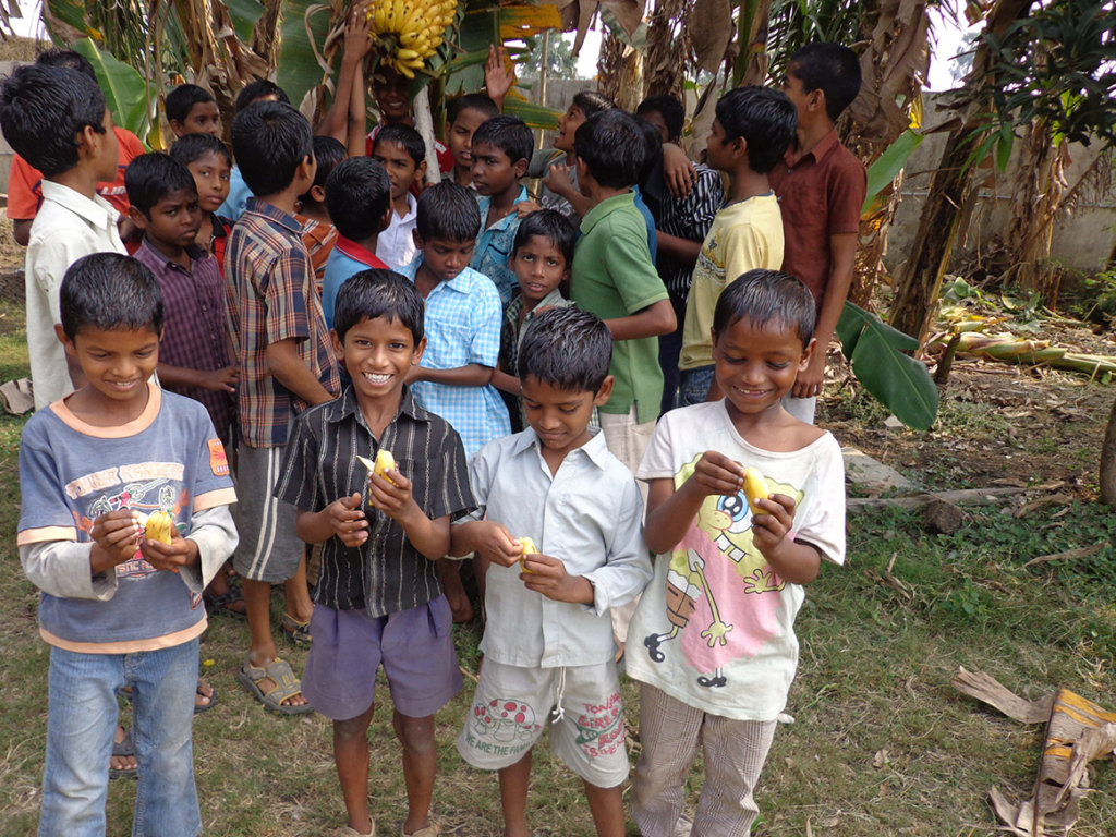 Help Expand Farm for Orphans and Homeless Children - GlobalGiving