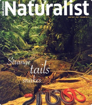 Oldest Nature Magazine Needs Funding