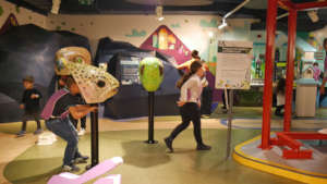 Science is not scary any longer! It can be fun!