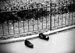 It's a petty offence to be a homeless in Hungary