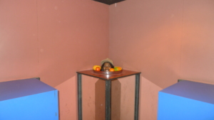 The illusion at the Museum!