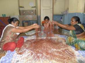 Protein mix preparation