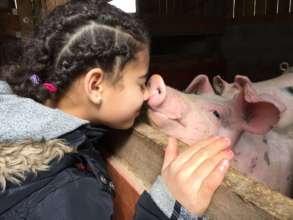 visiting a farm & making new friends ...