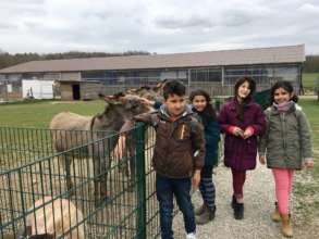 We think: Our camps could last donkey's years...