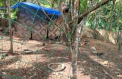 Egg Incubator for Poor Women