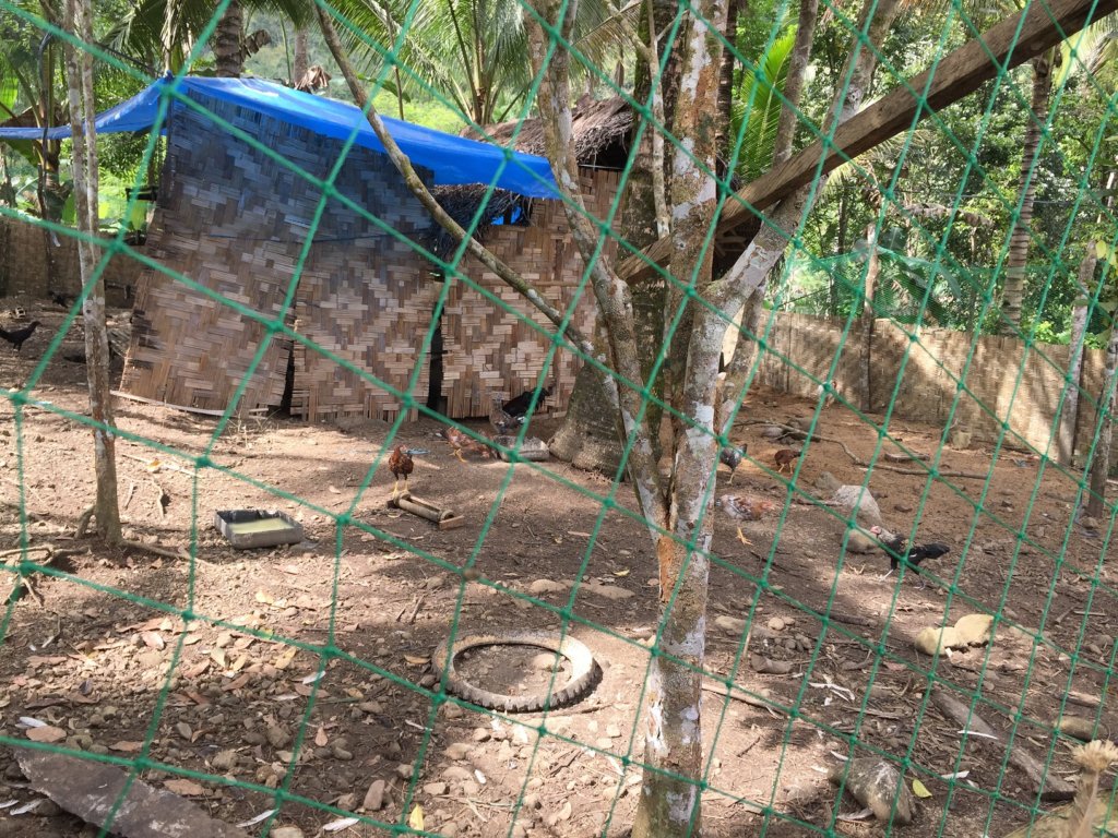 Egg Incubator for Poor Women