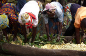 Boost Rural Womens Juice Processing Plan in Uganda