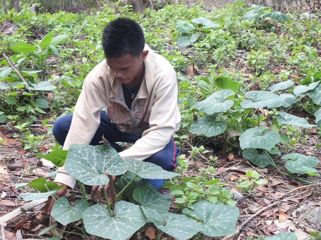 Training 300 Young Farmers on Organic Agriculture