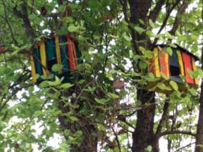 Shivam's Bird Houses