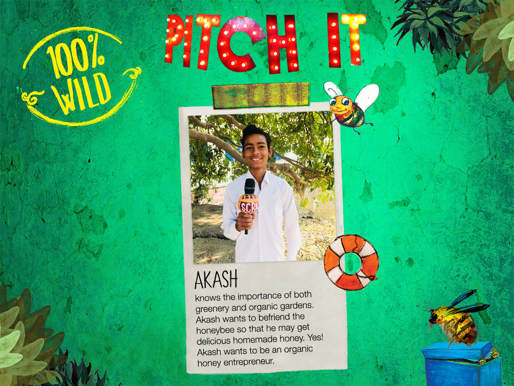 Pitch it 2018: Make your school 100% Wild!