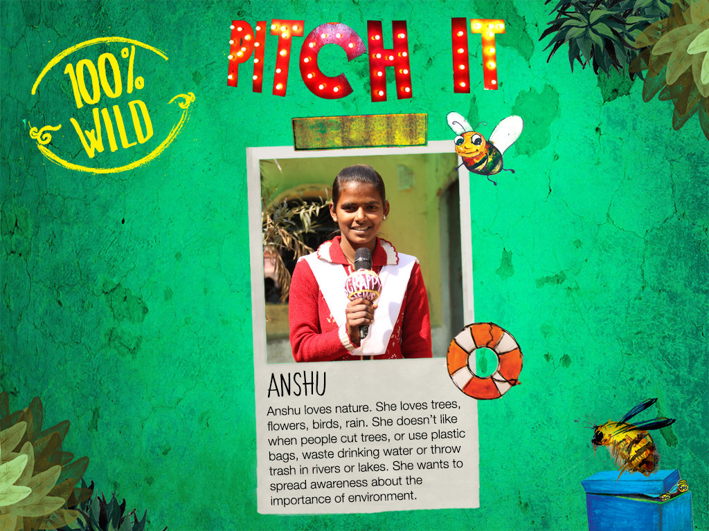 Pitch it 2018: Make your school 100% Wild!