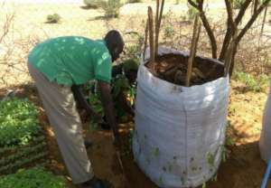 Preparing a nutrition garden in Mandera County