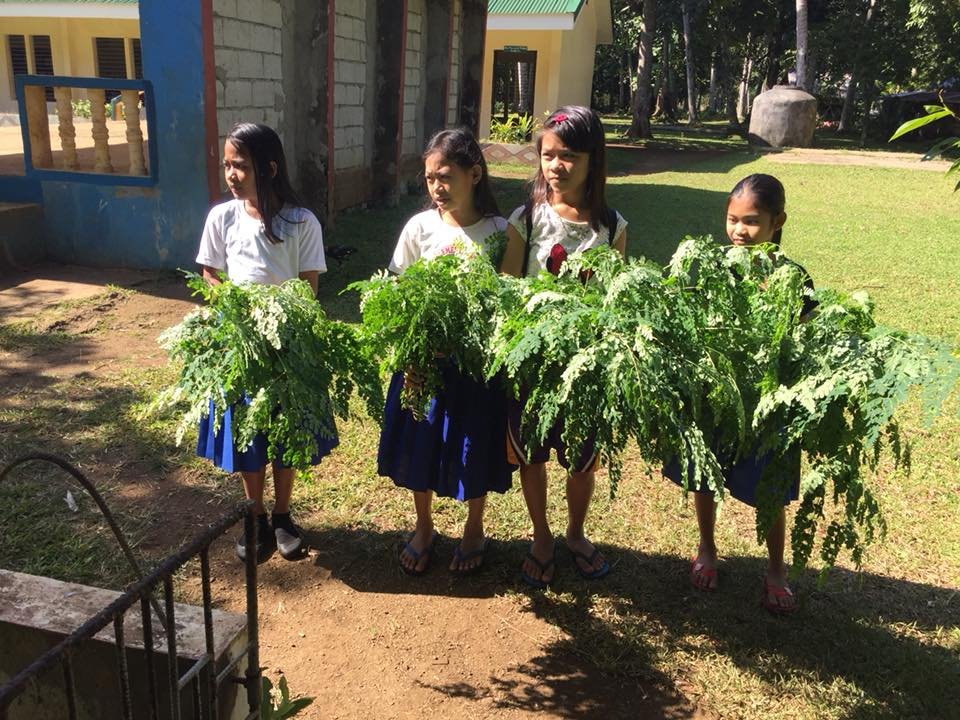 super size veggies for school lunches