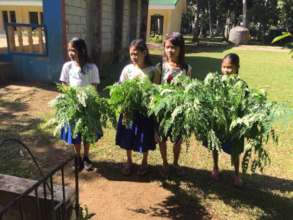 super size veggies for school lunches