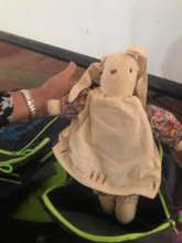 AAI supplies stuffed animals for contestants