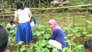 School principals harvest along with students