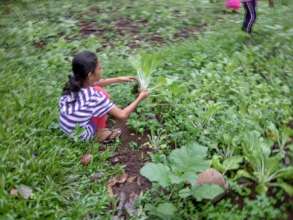 A school garden must be well tended