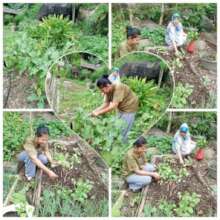 Parents helping in the school garden