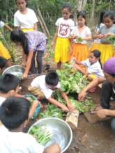Manilop ES students gather to harvest