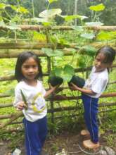 Harvest time in the school garden