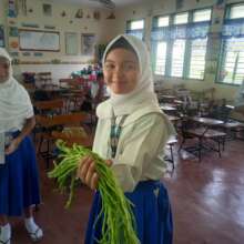 Green beans for lunch grown in school garden