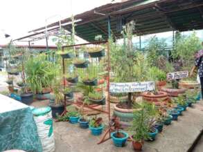 Elementary School urban garden