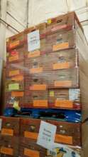 AAI books are continuing to ship to classrooms