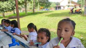 Brushing with friends