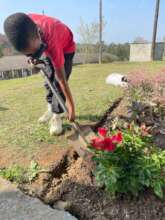 Siphesihle helping in the garden