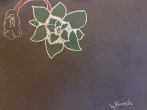 Flowers - Hlomla