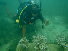 Our volunteers