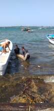 Transporting blocks to the reef restoration site