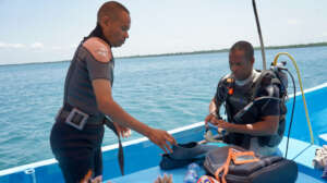 Our divers