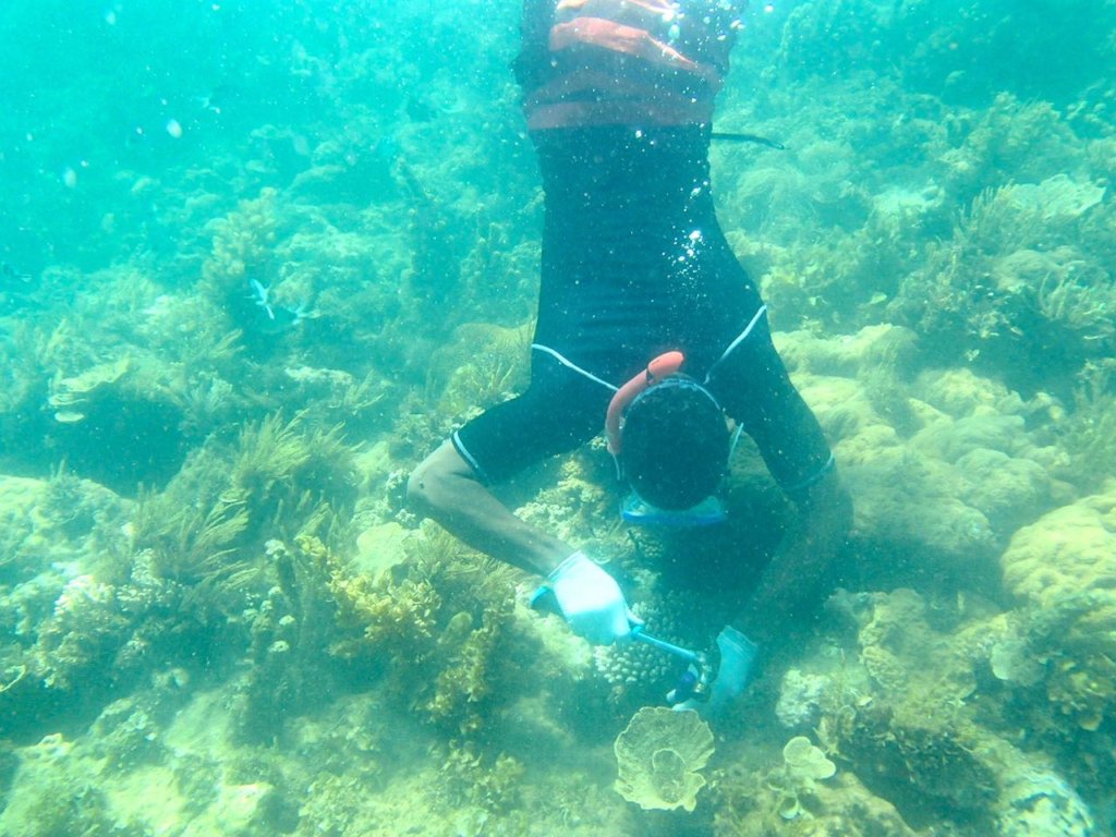 Restore Corals for 400 Fisherfolks in Wasini
