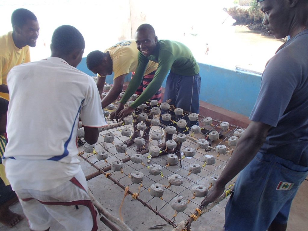 Restore Corals for 400 Fisherfolks in Wasini