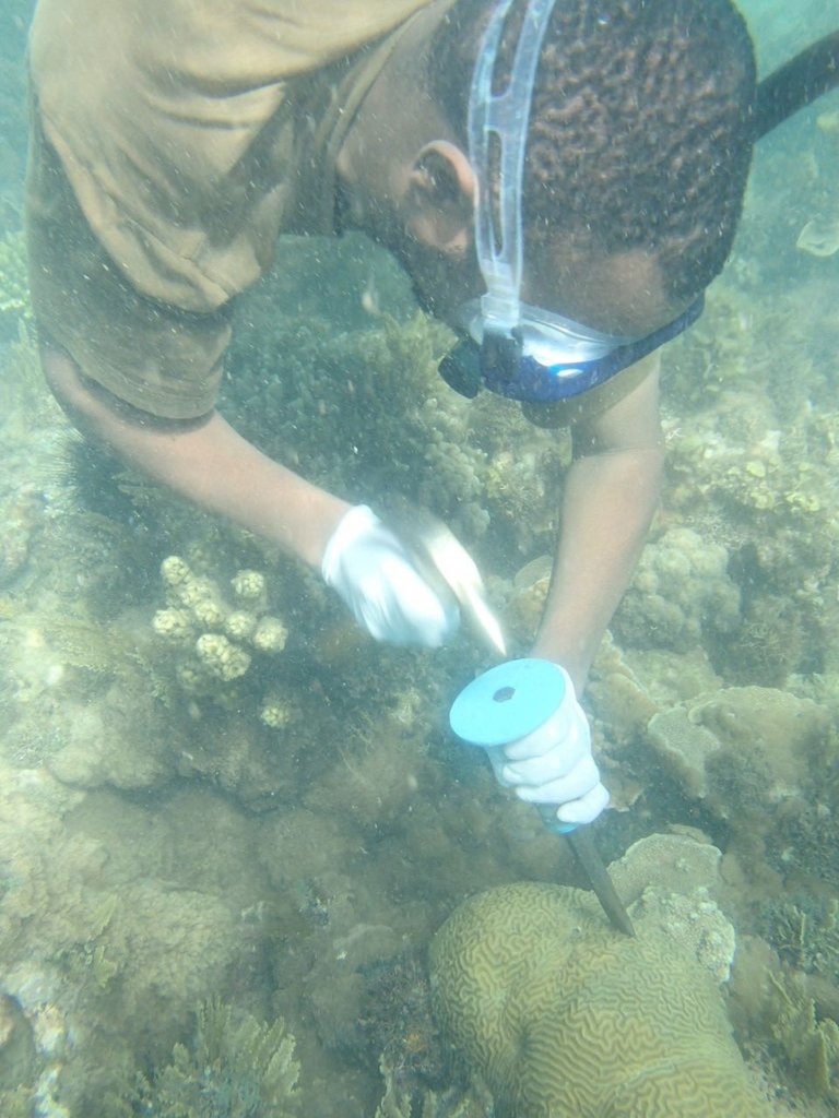 Restore Corals for 400 Fisherfolks in Wasini
