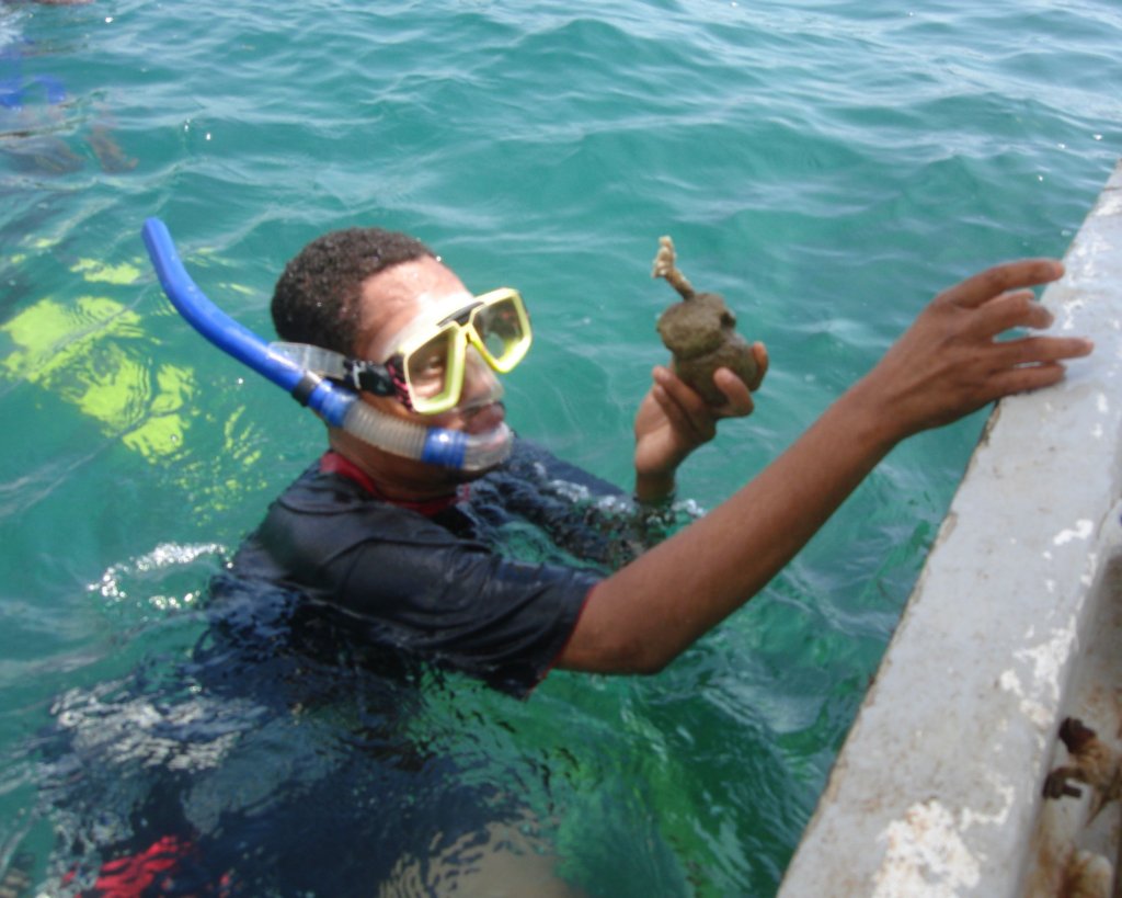 Restore Corals for 400 Fisherfolks in Wasini