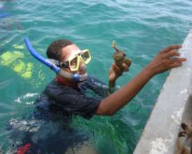 Coral Fragment