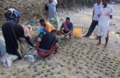 Restore Corals for 400 Fisherfolks in Wasini