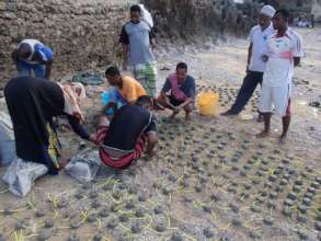 Restore Corals for 400 Fisherfolks in Wasini