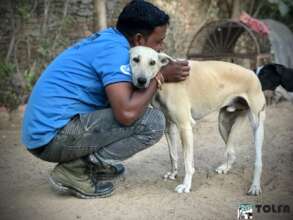 Nurturer Bunty with shelter dog Toofan