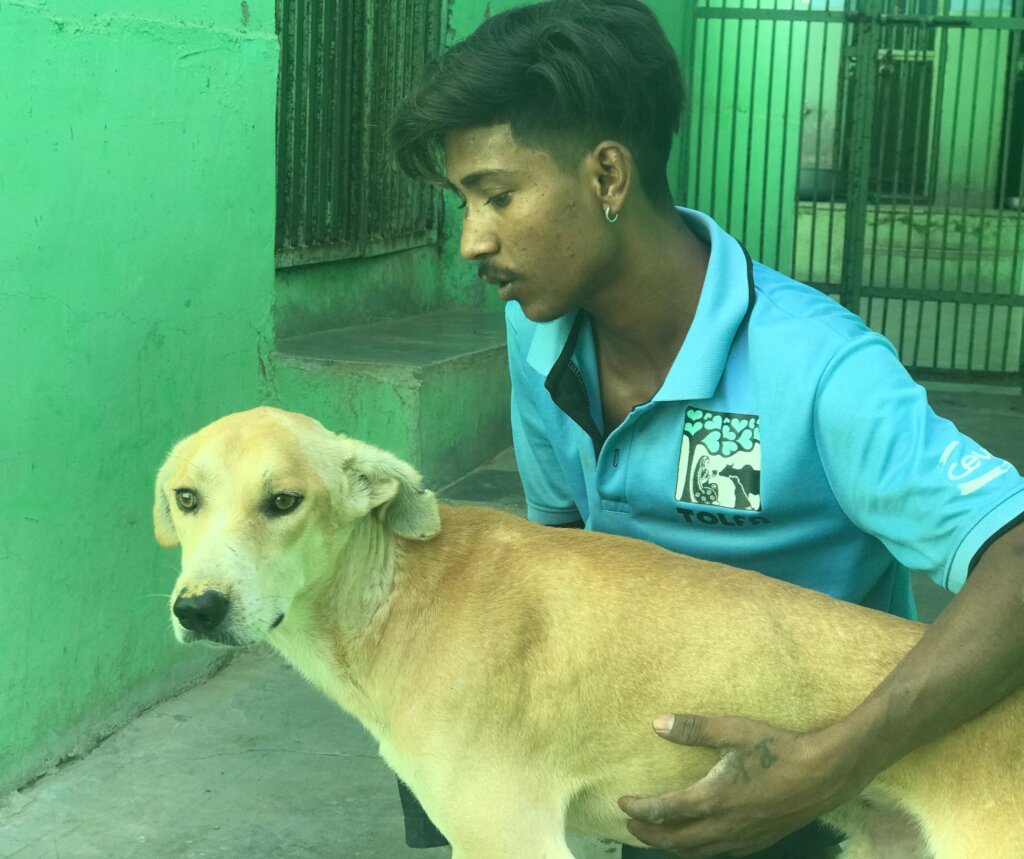 Xavier now - healed, happy and ready to go home!