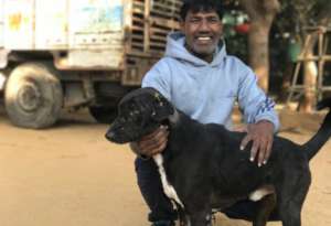 Rescuer Ramesh - we rescued 6,392 animals in 2018